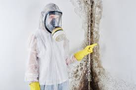 Professional Mold Removal in Manchester Center, VT